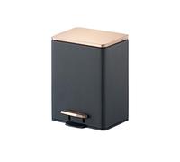HYQOUKLR Poubelle, petite poubelle à pédale, Housse for maison salon lumière luxe créatif simple moderne pédale cuisine salle de bain pédale poubelle(B,L)
