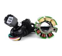 HYRHEV Pièces de redresseur Bobine De Stator Moto pour Suzuki RMZ250 2005-2006 RMZ 250 K2100-30027 K2100-30048