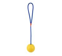 HYRSXN Jouet de Dressage for Chien de Compagnie, Balle en Caoutchouc Naturel sur Corde, Jouets à mâcher, Balle de Nettoyage des Dents for Un Exercice Amusant, Jeu en Plein air(Y)