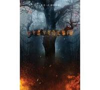 Hysteresis Loïc Le Borgne (Auteur)