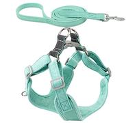 HYTROVE 1 Ensemble Harnais de Chiens Ajustable avec Laisse Résistante à Usure Ensemble pour Chiens de Petite Pratique et Réfléchissant pour Activités Extérieures Menthe Verte XS