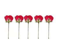 HYTROVE 12 Fleurs Séchées Boutons de Rose Naturelles pour Fabrication de Papier d'art et Emballage Créations Manuelles Cadres Photo et Bijoux