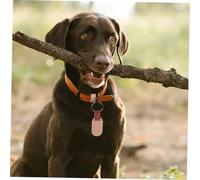 HYTROVE 12pièces Panneau à Suspendre Porte-clés Brut pour Animaux De Compagnie Médailles Identification pour Chien Médaille Vierge Anneau De Suspension pour Porte-clés Étiquette