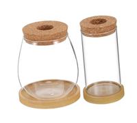 HYTROVE 2 Pièces Vase de Plante hydroponique Vase hydroponique Terre Cuite planteur d'eau système Pots de Fleurs en Verre Terrarium de Plantes avec Support en Bois Un Verre Transparent