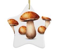 HYTTER Décoration de Noël en céramique avec motif champignons grillés en forme d'étoile facile à accrocher, très approprié pour décorer les arbres de Noël