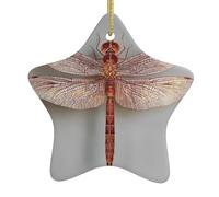 HYTTER Tableau imprimé libellule en céramique pendentif étoile décoration facile à accrocher, très approprié pour décorer les arbres de Noël