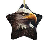 HYTTER Tableau patriotique aigle de Noël en céramique pendentif étoile décoration facile à accrocher, très approprié pour décorer les arbres de Noël