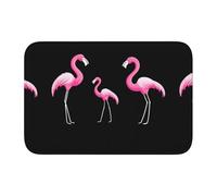 HYTTER The Cheerful Family of Cranes Tapis de sol en velours avec bordure en cristal imprimé pour chambre à coucher, salon, dortoir, décoration de la maison