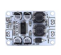 Hyuduo 30W, Amplificateur de Puisnce Mono Canal TPA3110, apté aux Haut-parleurs de 8 Ohms, avec Une Faible Consommation d'énergie et de Bons Effets Sonores, des Componts pour la Audio,