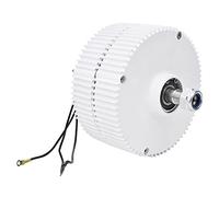 Hyuduo Générateur à Aimant Permanent, Alternateur éolien à Haute efficacité 300 W 12 V 24 V pour Applications Industrielles dans des Conditions Difficiles (Moteur 12V)
