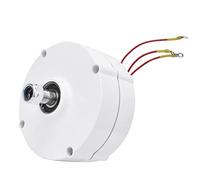 Hyuduo Générateur à Aimant Permanent, Générateur d'énergie éolienne 100 W 12 V, Haute fiabilité, économie d'énergie pour une Utilisation Industrielle, Modèle NE100 avec Large Plage de Température