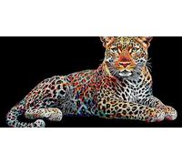 Hyupuanj Peinture Numero Adulte Léopard, DIY Peinture Acrylique pour Débutants, Loisirs Créatifs Adultes Activité Manuelle, Peinture par Décoration Murale et Cadeaux Pour La Maison 50x100cm a-310