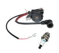 HYUYRFJR Bobine d'allumage adaptée pour Alp-INA VIP 34 40 42 52 Classeur pour Olive Star 36 36D 41 41D 41F 45 55 Débroussailleuse 3211015 3210670 32110101