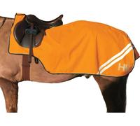 HyVIZ - "Reflector" filet bâche d'entrainement pour chevaux BZ4088 (152cm) (Orange)