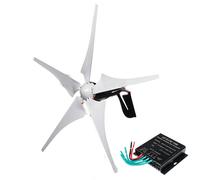 HYZHANHONG 12v, Générateur éolien à 5 pales, 1200W-3600W, Faible Bruit, CA, 12V 24V 48V 220V, Basse Vitesse, triphasé Vertical, avec contrôleur