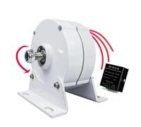 HYZHANHONG 48V, Générateur à Aimant Permanent triphasé 10 000 W 12 V 24 V 48 V, alternateur CA DIY pour éolienne à Usage Domestique (avec contrôleur)