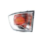 HZ-DESIGN Miroir Clignotant à Gauche pour Rétroviseur Extérieur Compatible Avec Iveco Daily IV, V, VI