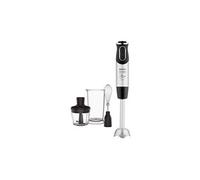 Hz656815 800 millilitres 1000 watts acier inoxydable noir