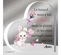 HZBLAZ Acrylique Plaques Collègue Amie Anniversaire Apprécier Cadeaux Femmes Retraite Entrer Nouvel Emploi Adieu Souvenirs Noël Amitié Bureau Signes Mignon Le Hasard Nous A Fait Collègues