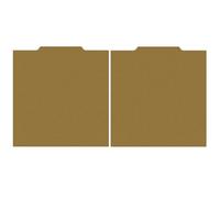HzdaDeve Lot de 2 plaques de construction pour Elegoo OrangeStorm Giga - Kit de plateforme magnétique texturée double face - 410 x 410 mm - Plaque de lit en acier à ressort flexible pour imprimante 3D