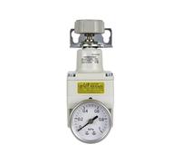 HZDXWXOJ Régulateur de Pression IR1000/IR1010/IR1020-01BG IR2000-02BG IR3000-02BG IR3020-03BG Régulateur Réducteur de Pression(IR3010-02BG)