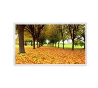 HZEPDVT Cadre Photo Numérique 22 Pouces, 24 Pouces, 27 Pouces, 32 Pouces, Écran IPS, Écran HD 1080P, Machine Publicitaire Murale, Facile À Installer(White,32 inch)