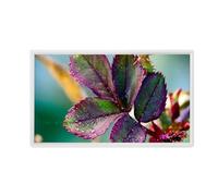 HZEPDVT Cadre Photo Numérique 22 Pouces, 24 Pouces, 27 Pouces, 32 Pouces, Écran IPS, Écran HD 1080P, Machine Publicitaire Murale, Facile À Installer(White,27 inch)