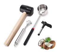 HZIYOU Coco Opener Set d'outils, Kit d'ouverture De Noix De Coco en Acier Inoxydable De Qualité Alimentaire, Ouvre - Coquille, Marteau, Copeau De Noix De Coco, Ouvre - Trous (4 PCS)
