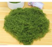 HZLXF1 Mousse de Vie éternelle Artificielle 30 g, for Bricolage, Artisanat, Plantes Vertes artificielles, décoration de Jardin, Mini Paysage, Fausse Fleur, bonsaï(Dark Green)