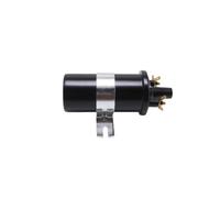 Hzoibyze d'Allumage Auto Ignition Sports Coil DLB110 d'Allumage DLB102 Remplacement à Ballast 12 Cœur Résine Sèche Corps Métal Pose, Noir
