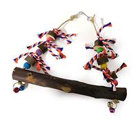 Hztyyier Balançoire à Poulet en Bois, Jouet à Mâcher coloré pour Poules et Oiseaux, Idéal pour et Grimper, en Bois, 30 Cm de Long, Convient à Toutes Les Races (Couleur Assortie)