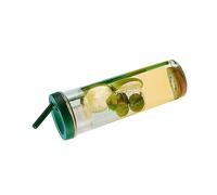 Hztyyier Bouteille d'eau en Plastique de 700 Ml, Tasse en Paille Portable Résistante aux Hautes Températures, Idéale pour les Voyages et les Activités de Plein Air (Vert gazon)