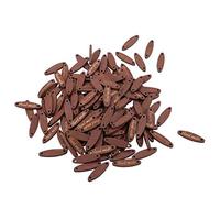 Hztyyier Boutons en Bois Ovale avec 2 Trous, 200 Pièces, pour Couture Artisanat Vêtements Décoration