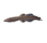 Hztyyier Figurine de Fourmilier à Haute Simulation, Jouet d'apprentissage Réaliste pour Enfants, en Plastique d'anniversaire