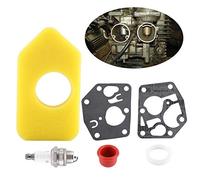 Hztyyier Kit de Joint de Diaphragme de Carburateur, Ensemble d'éléments pour Allumage et Filtration d'air Moteurs à Essence, Remplacement 281028 495770 795083 694394 494408