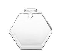 Hztyyier Vase en Verre Suspendu Mur Transparent 6 Décoration Murale de Jardin pour Mur Arrière-Cour pour Terrariums Suspendus Collants (hexagone) Potting Tools Potting Tools