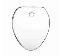 Hztyyier Vase en Verre Suspendu Mur Transparent 6 Décoration Murale de Jardin pour Mur Arrière-Cour pour Terrariums Suspendus Collants (Forme de Souris)