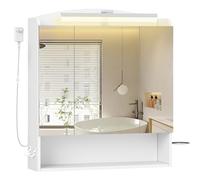 Hzuaneri Armoire Murale Salle de Bain avec Miroir et LED, Meuble de Salle de Bain, Prise et Interrupteur, avec Étagère Réglable, Support Sèche-Cheveux, Blanc 16,5 x 70 x 80 cm MC00303XEU