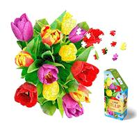 I AM 350 Puzzle: Tulipe 48,26x55,88cm, 350pcs, en boîte, Madd CAPP Puzzle, 10+
