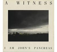 I AM JOHN'S PANCREAS LP (VINYL ALBUM) UK J RECORDS 1986