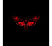 Lil Wayne - I Am Not a Human Being II