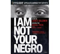 I Am Not Your Negro (2016)
