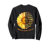 I am the Storm Appendice Cancer Warrior Sweatshirt