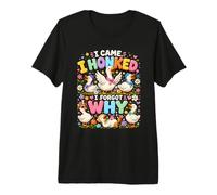I Came I Honked I Forgot Why Funny Goose Humour Pond T-Shirt Haut de Gamme
