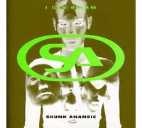 I Can Dream by Skunk Anansie