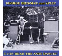 I Can Hear the Ants Dancin by George Brigman (2005-06-15)