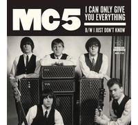I Can Only Give You Everything Vinyle coloré Vinyle