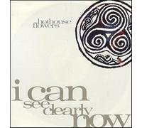 I Can See Clearly Now [Import]