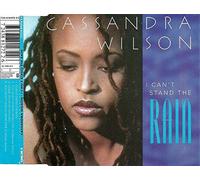 I Can't Stand The Rain [Import]