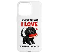 I Chew Things I Love You Pourrait être Le Prochain Gag Coque pour iPhone 15 Pro Max